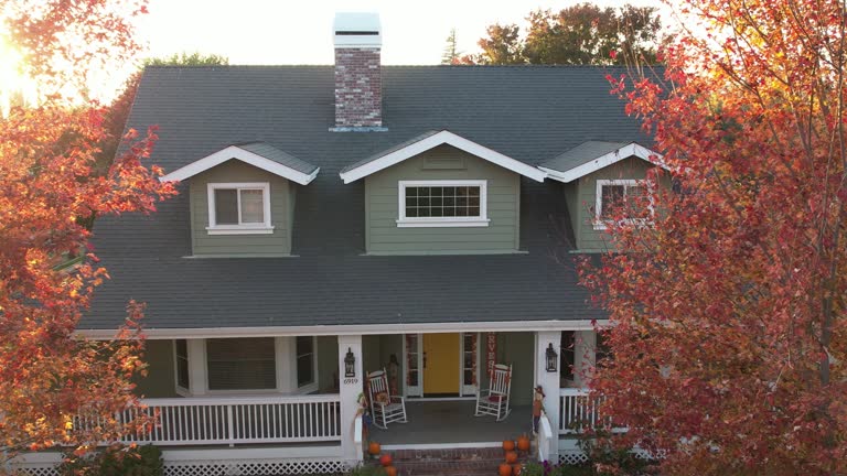 Best Green or Eco-Friendly Roofing Solutions  in Preston Heights, IL