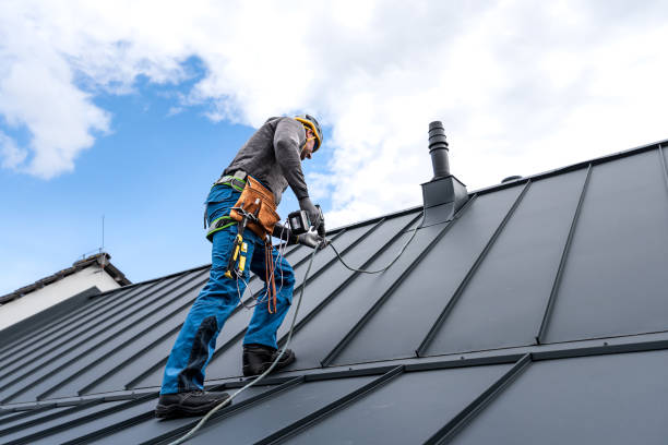 Best Roof Coating and Sealing  in Preston Heights, IL